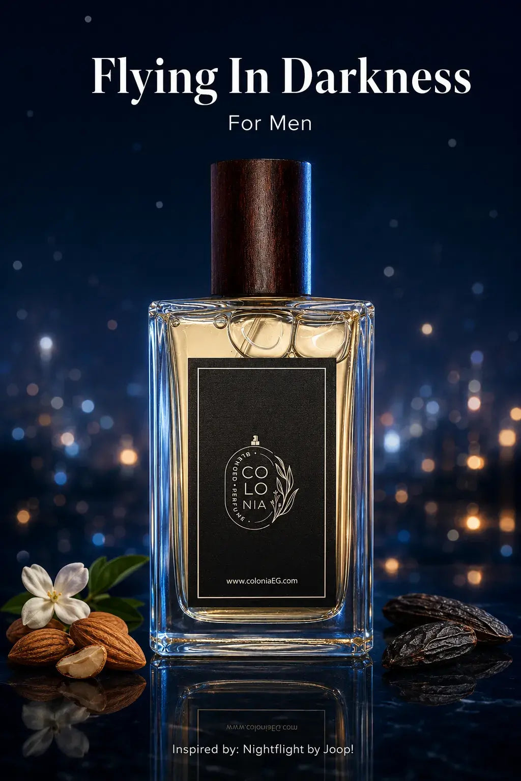 Flying In Darkness (Inspired by Nightflight, Joop!)