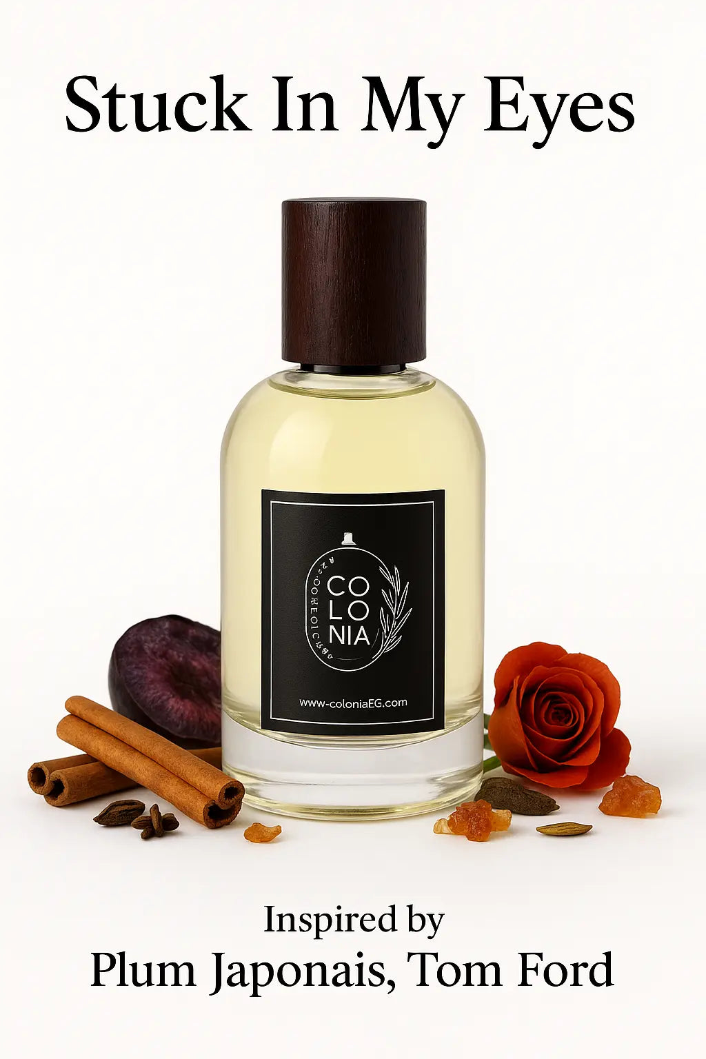 Stuck In My Eyes (Inspired by Plum Japonais, Tom Ford)