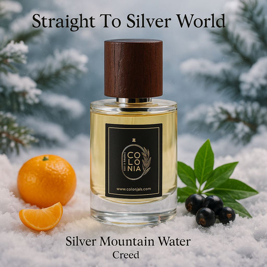 Straight To Silver World (Inspired by Silver Mountain Water, Creed)