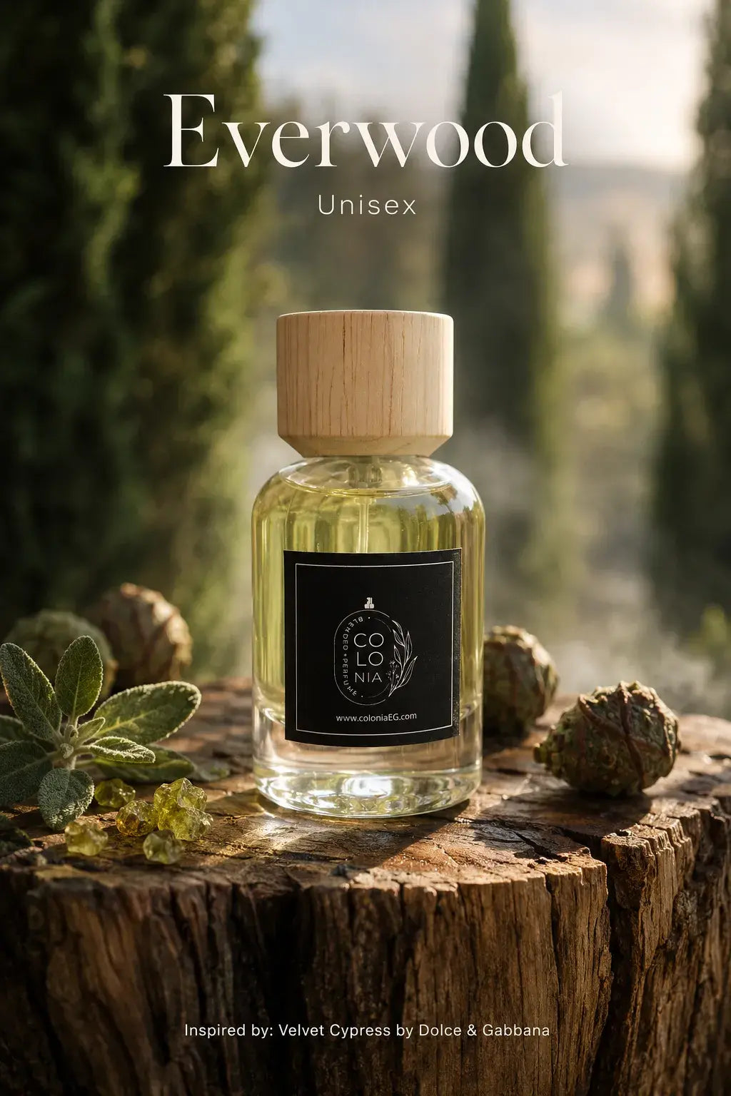 Everwood (Inspired by Velvet Cypress Dolce&Gabbana)