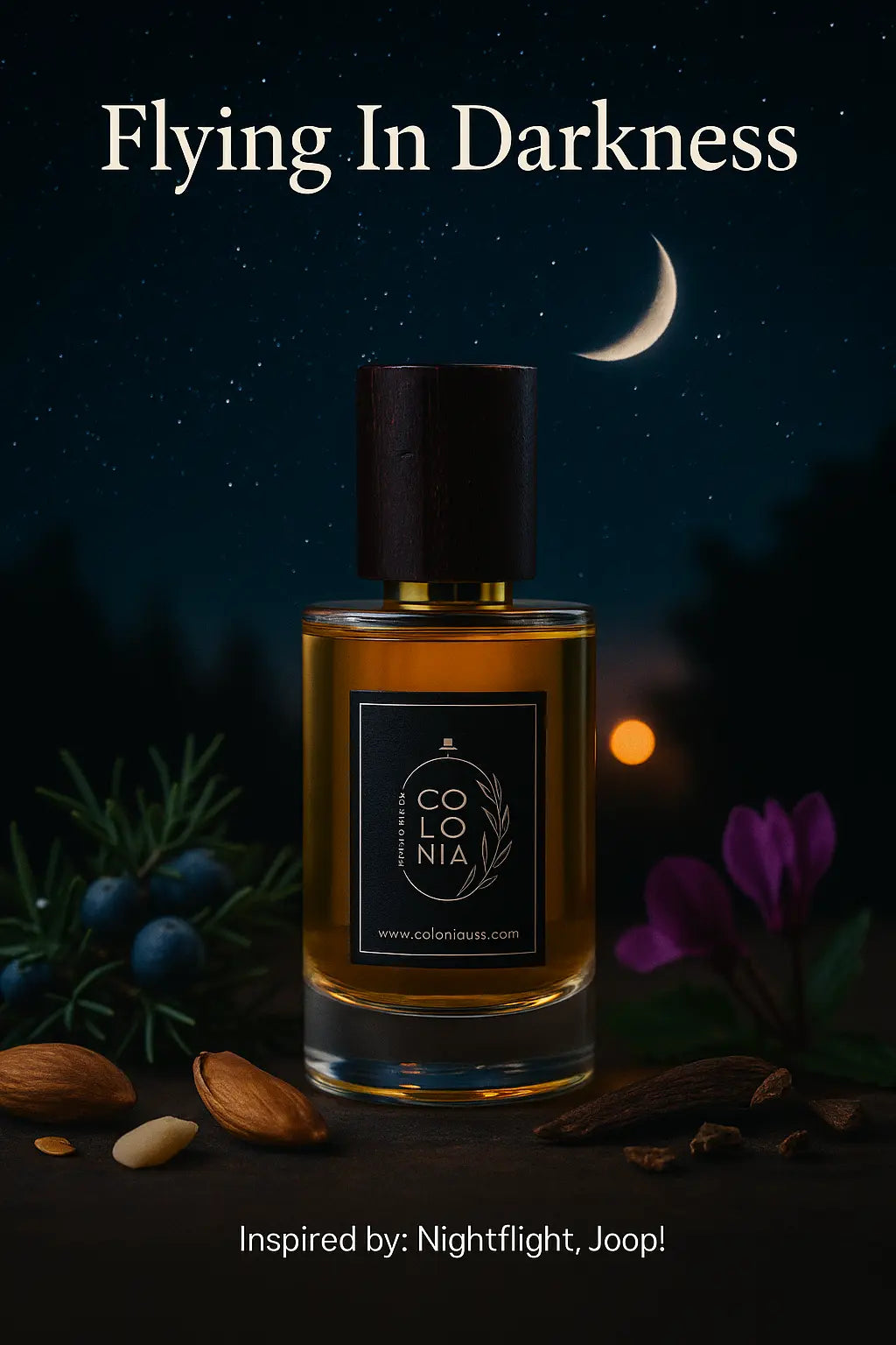 Flying In Darkness (Inspired by Nightflight, Joop!)