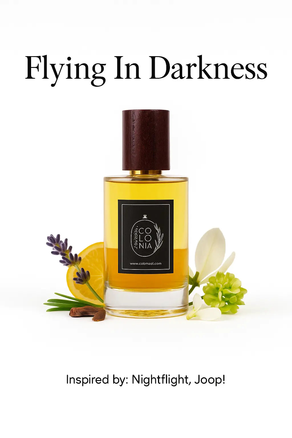 Flying In Darkness (Inspired by Nightflight, Joop!)