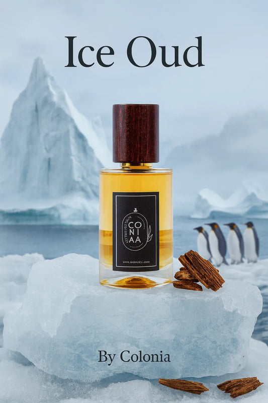 Ice Oud (by Colonia)