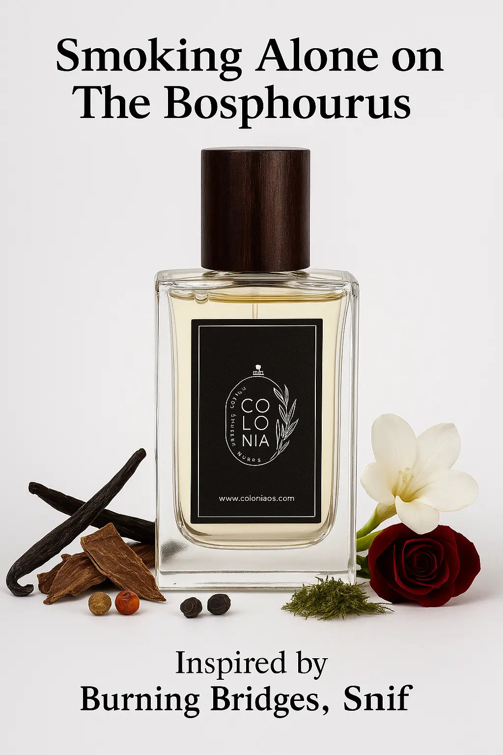 Smoking Alone on The Bosphourus (Inspired by Burning Bridges, Snif)