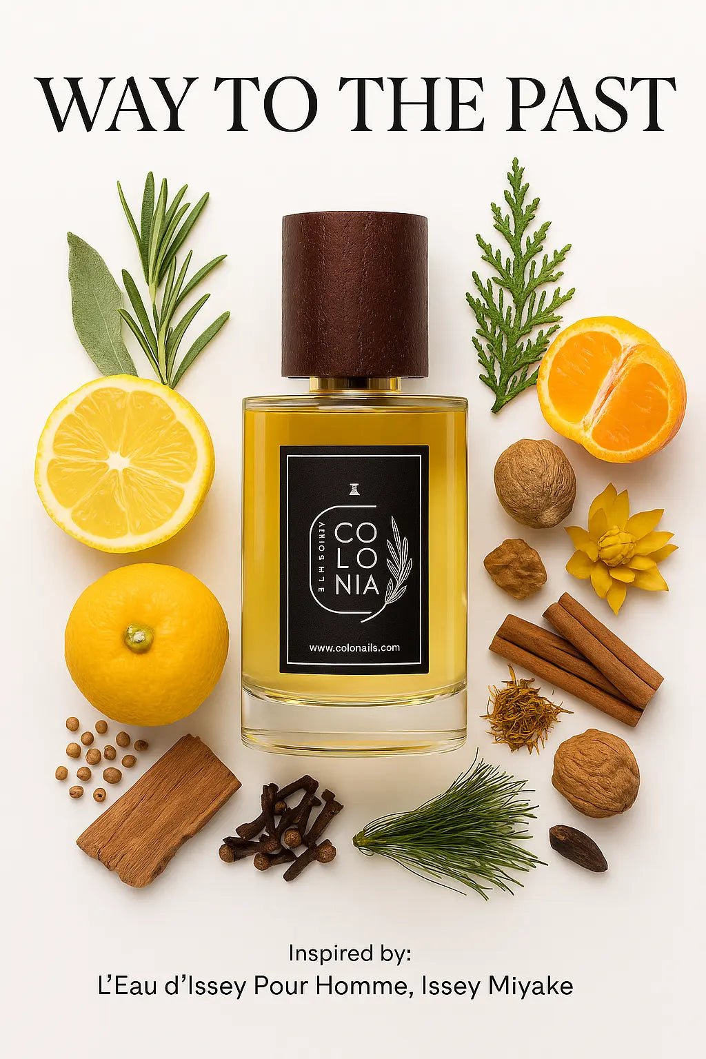 Way To The Past (Inspired by L'Eau d'Issey Pour Homme, Issey Miyake)