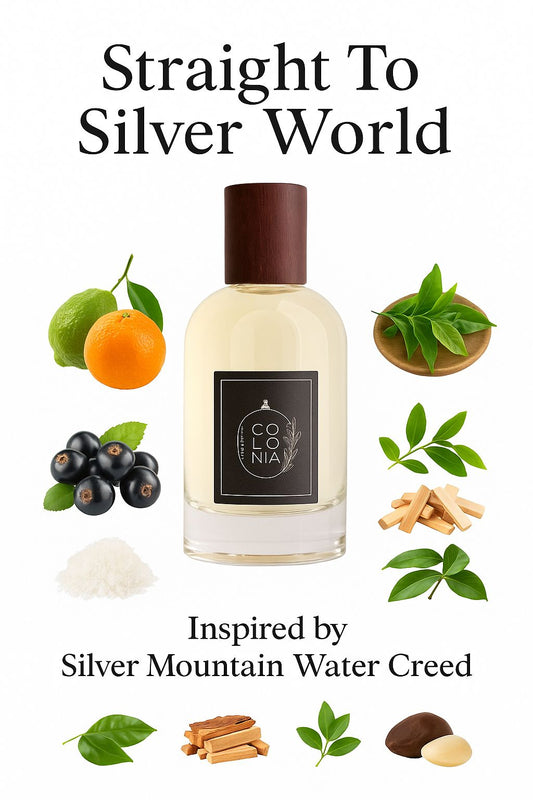 Straight To Silver World (Inspired by Silver Mountain Water, Creed)